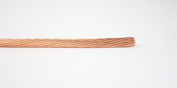 COBRE DESNUDO - Imagen 2